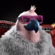 4004
