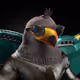 11795