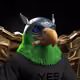 3568