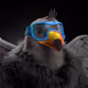 1669
