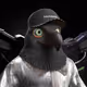 4157
