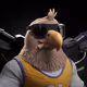 6255