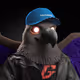 4334
