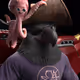 8925