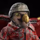 9981