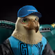 6126