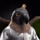 5445