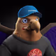 11368