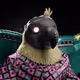 3134