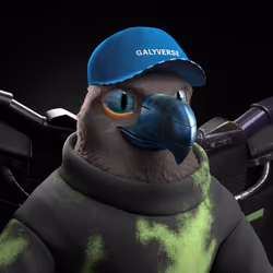 Meta Eagle 1243