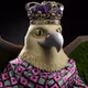 9972