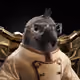 6921