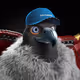 5040