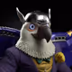 11567