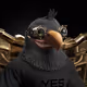 3797