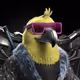 6437
