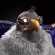 8088