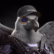 7780