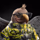 465