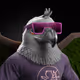 8241