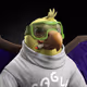 10703