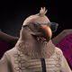 10877