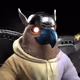11260