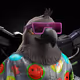 7416