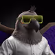 9071