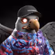 6068