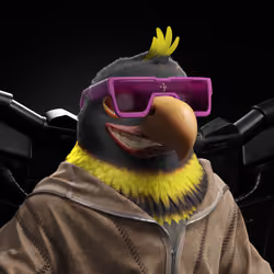 Meta Eagle 11808