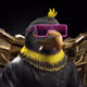 5558