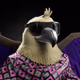 10067