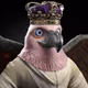 11034