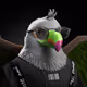 811