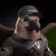 5632