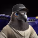 7216