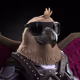371