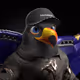 1141