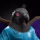 554