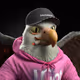 8051