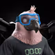 9468
