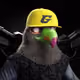 2547