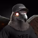 9893