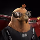5594