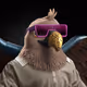 8054