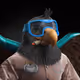 607