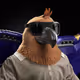 11001