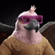 11585