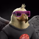 5617